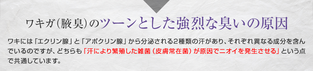 ワキガ（腋臭）のツーンとした強烈な臭いの原因