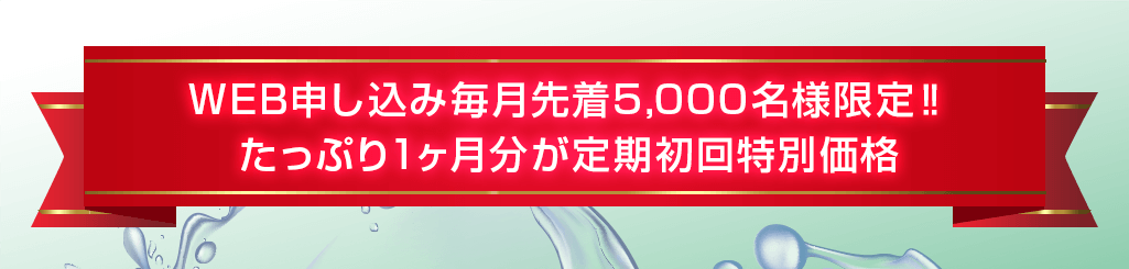 定期初回特別価格