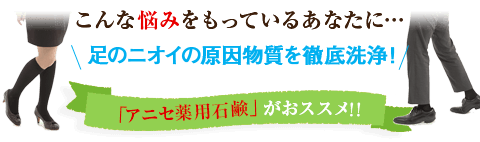 アニセ薬用石鹸公式サイト